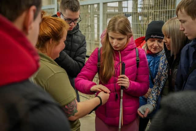 Children from Ukraine were reunited with lions from their war torn country.