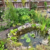 Ponds are one of the quickest and easiest way to attract new wildlife to the garden.