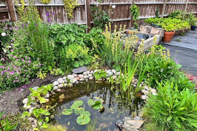 Ponds are one of the quickest and easiest way to attract new wildlife to the garden.