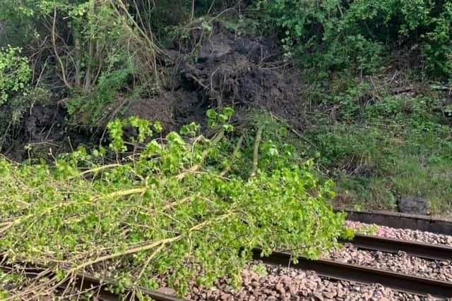 Train services suspended at Doncaster after landslide caused tress to fall on the line.