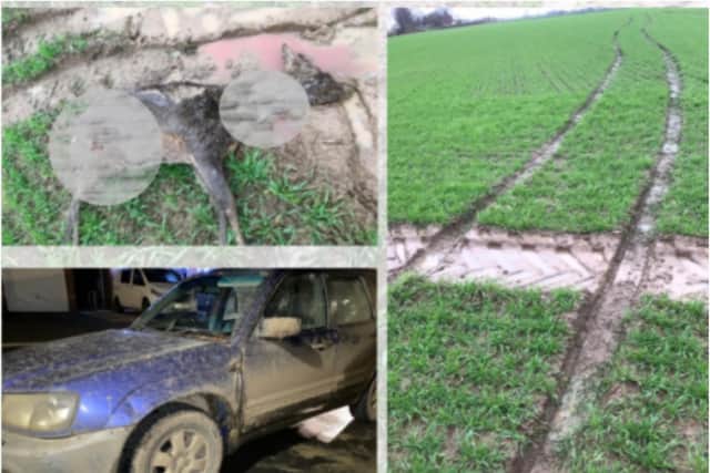 A deer (top left) was savaged after a trio of Doncaster hunters tore through farmers fields.