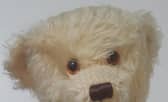 Search for the owner of this bear