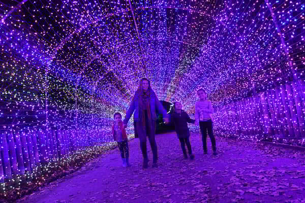 The winter illuminations are back at Yorkshire Wildlife Park.