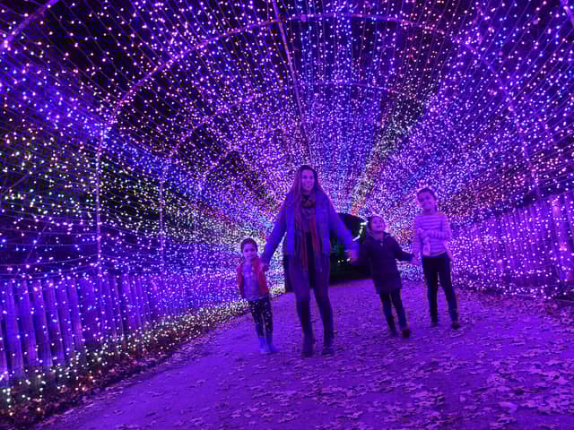 The winter illuminations are back at Yorkshire Wildlife Park.