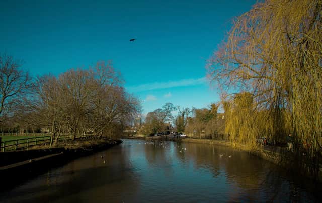 Tickhill mill pond by Ken Pointon