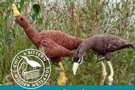 Help the Yorkshire Wildlife Trust by making your own knittern
