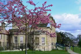 Cusworth Hall. Picture: Marie Caley NDFP-02-03-19-Doncaster-6