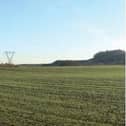 The site
