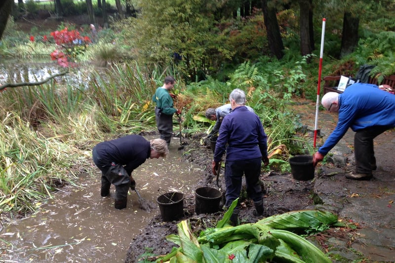 Volunteer gardeners getting stuck into a muddy job at Whirlow Brook Park