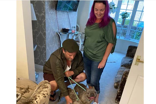 Kelly Green is reunited with her dogs.