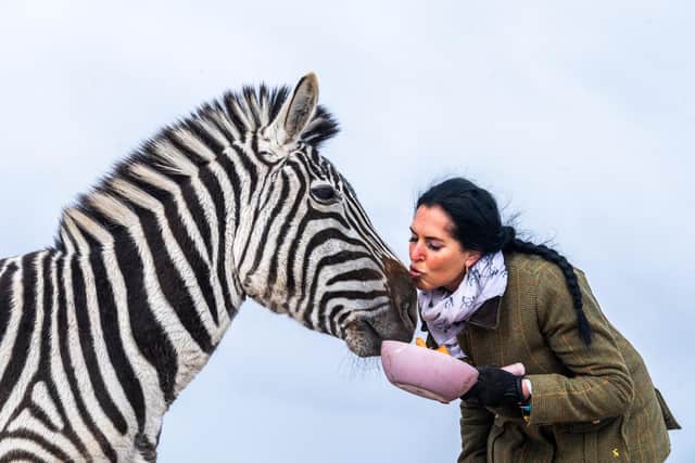 Ziggy the zebra, pictured with owner Bev Griffiths. (Photo: SWNS).