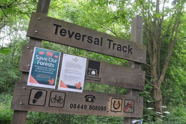 If you head to the Teversal Visitor Centre you can walk on the Teversal Trail, which is on former railway lines. You can even walk to Silverhill Wood, which was created from a former colliery spoil heap and is the highest man-made point in the county.
