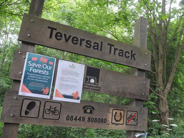 If you head to the Teversal Visitor Centre you can walk on the Teversal Trail, which is on former railway lines. You can even walk to Silverhill Wood, which was created from a former colliery spoil heap and is the highest man-made point in the county.