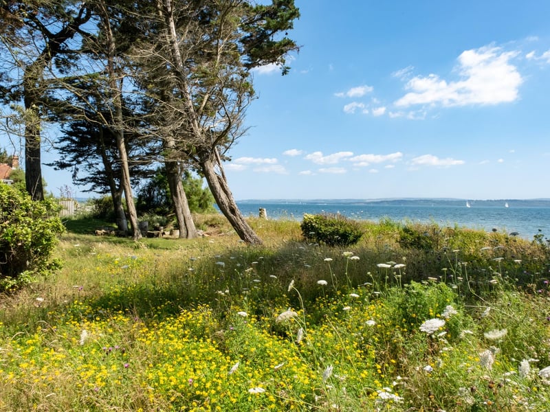 Pitts Down Cottage is on the market for £3.25m.
