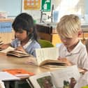 1 in 4 primary school children fail to reach the expected standard of reading when leaving primary school.