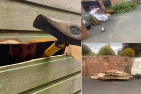 Our very own Steptoe's Yard