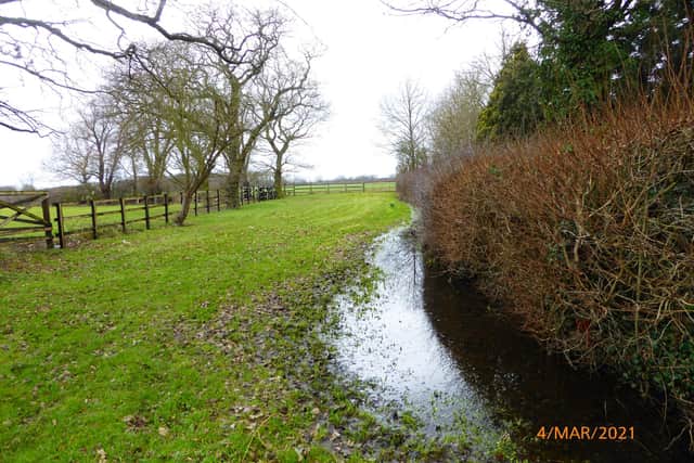 Water logged field on Fenwick walk