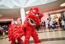 The Foshan Lion Dance Troupe will perform on Friday 31st January in the Lower Oasis at 6.30pm