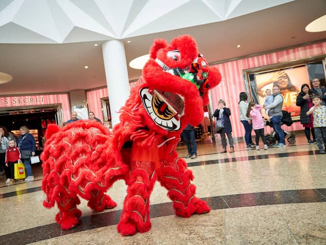 The Foshan Lion Dance Troupe will perform on Friday 31st January in the Lower Oasis at 6.30pm