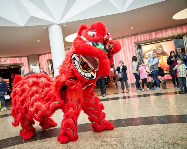 The Foshan Lion Dance Troupe will perform on Friday 31st January in the Lower Oasis at 6.30pm