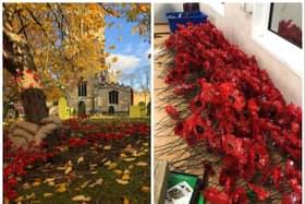 Leon Clemitshaw has created 8,000 poppies from plastic bottles.
