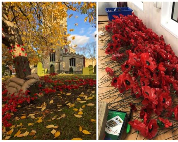Leon Clemitshaw has created 8,000 poppies from plastic bottles.