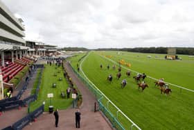 Haydock Racecourse. Photo: David Davies - Pool/Getty Images