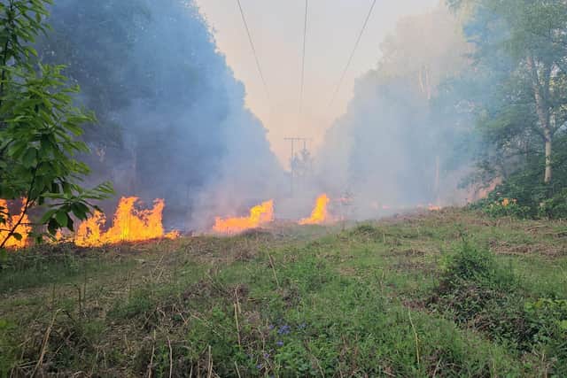 Doncaster youngsters setting dangerous fires in woodland near residents' homes.