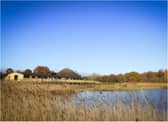 Potteric Carr Nature Reserve. (Photo: YWT).