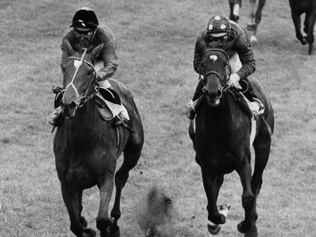 Scottish jockey Willie Carson, riding the Queen's horse 'Dunfermline' to victory in 1977, Her Majesty's Silver Jubilee year.  (Photo by Dennis Oulds/Central Press/Getty Images)