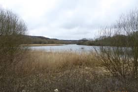 Denaby Ings Nature Reserve