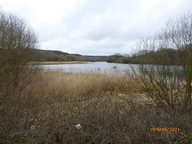 Denaby Ings Nature Reserve
