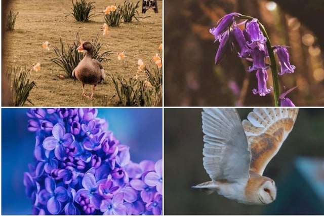 10 great photos taken in Doncaster.