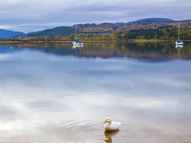 Loch Morlich