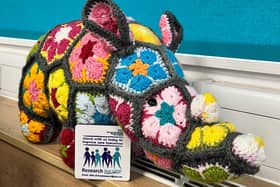 DBTH Research Rhino mascot.