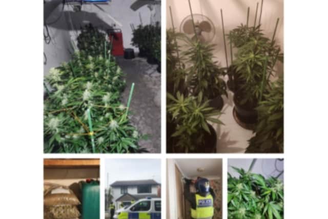 Police in Doncaster uncovered two separate cannabis set ups.