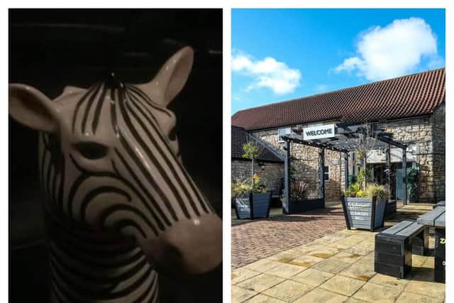 Doncaster pub zebra 'kidnapped' for Christmas holiday in Kenya