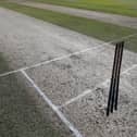 Cricket