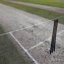 Cricket