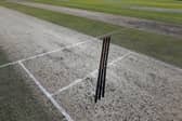 Cricket
