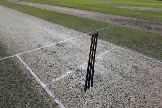Cricket