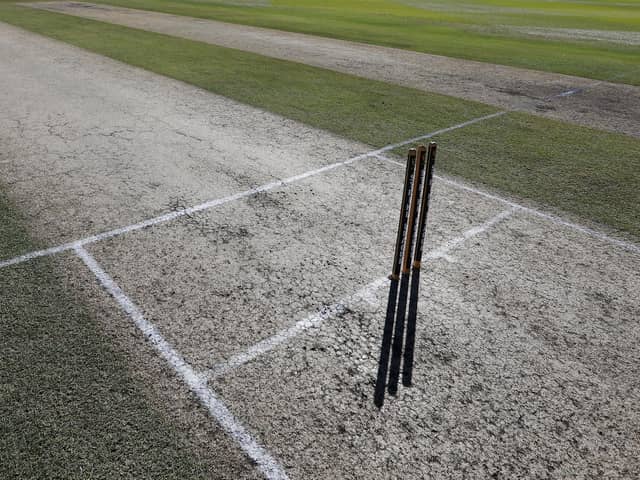 Cricket