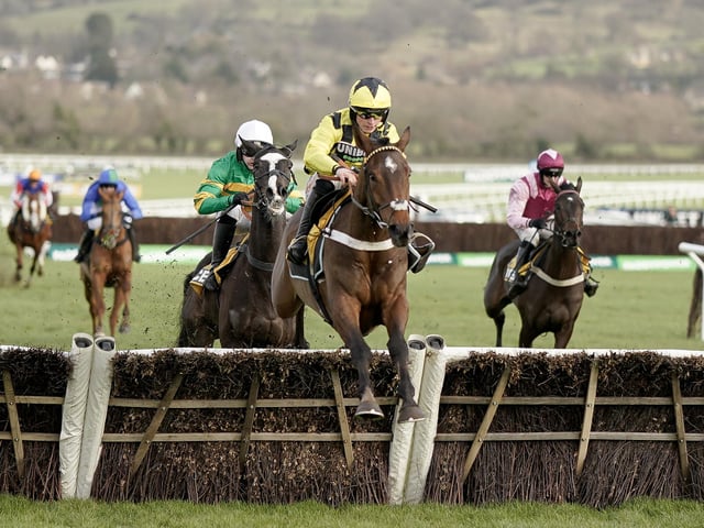 Crack trainer Nicky Henderson has won the Triumph Hurdle for 4yo hurdlers no fewer than seven times in the past. But it's doubtful the Lambourn veteran has ever gone to war in the race with a better juvenile than SIR GINO, which explains why the French-bred star is an odds-on shot for Friday's JCB-sponsored renewal (1.30). After a promising UK debut at Kempton over Christmas, the gelding demolished a decent field here at Cheltenham in January, bulldozing his way up the famous hill. For once, this prize might not be heading to Ireland.