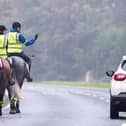 Five incidents involving horses recorded on Yorkshire roads every week, The British Horse Society reveal.