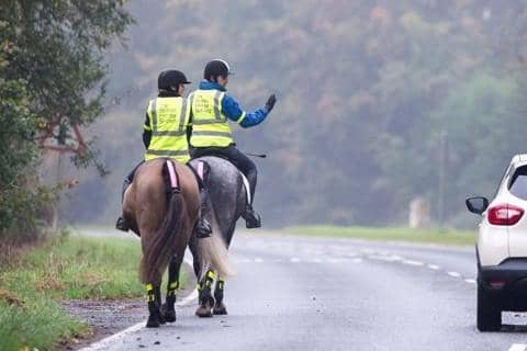 Five incidents involving horses recorded on Yorkshire roads every week, The British Horse Society reveal.