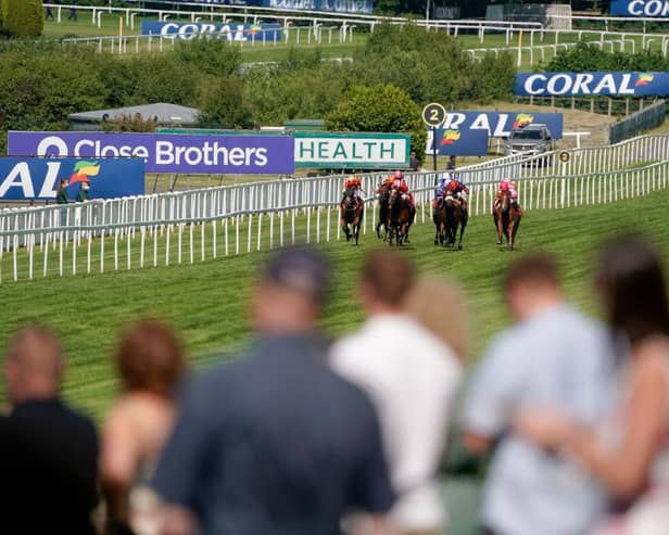 Sandown Park Racecourse. Photo by Alan Crowhurst/Getty Images