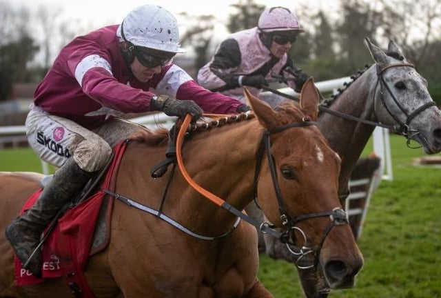 The stock of Gordon Elliott/Gigginstown's 8yo seems to have fallen since his defeat at the Cheltenham Festival last month. But he was beaten only by a rival, Stattler, likely to develop into a Cheltenham Gold Cup contender next season. Strictly speaking, he's still a novice, which would normally be a big no-no, but he has plenty of experience, gallops all day and was second in last season's Irish National. Tiger Roll's pilot, veteran Davy Russell, takes the ride.