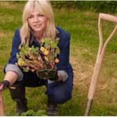 Zoe Ball will unveil the winning garden in Doncaster tomorrow.