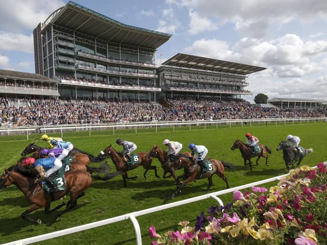 William Buick riding Vauban (pink/green spots) on their way to winning The Weatherbys Hamilton Lonsdale Cup Stakes at York Racecourse on August 23, 2024 in York, England. (Picture: Alan Crowhurst/Getty Images)
