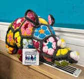 DBTH Research Rhino mascot.